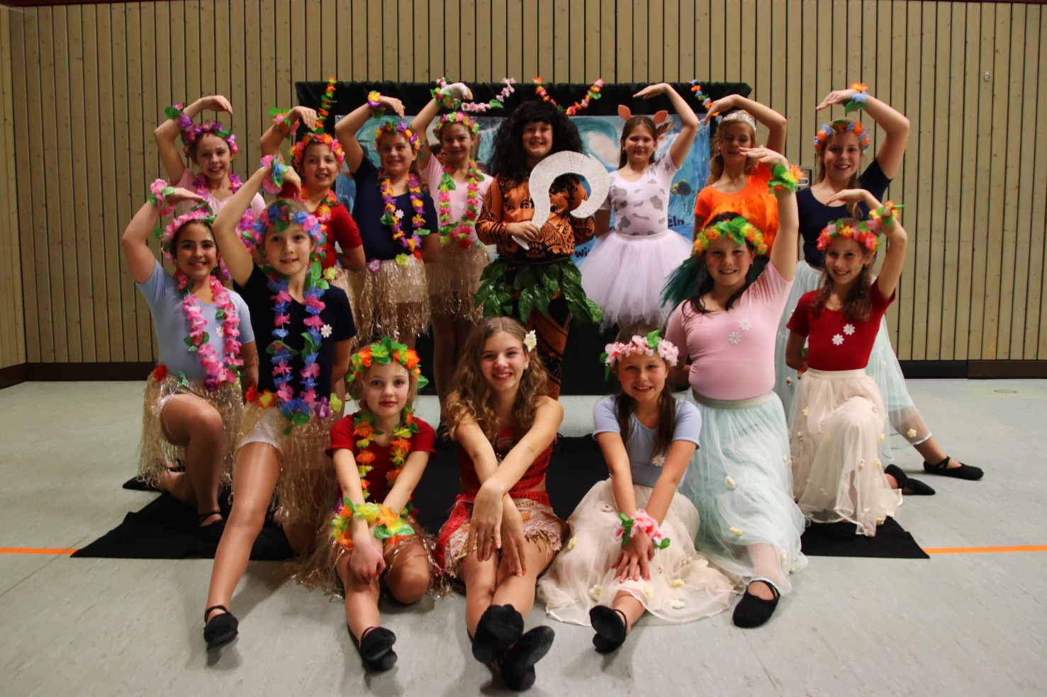 SHOWTANZTHEMA 2026: VAIANA - Zusammen segeln wir nach Motunui Image